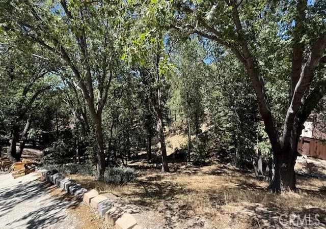 3rd image of 736 Dahlia Dr, Green Valley Lake, CA 92341 | MLS# IV25185644