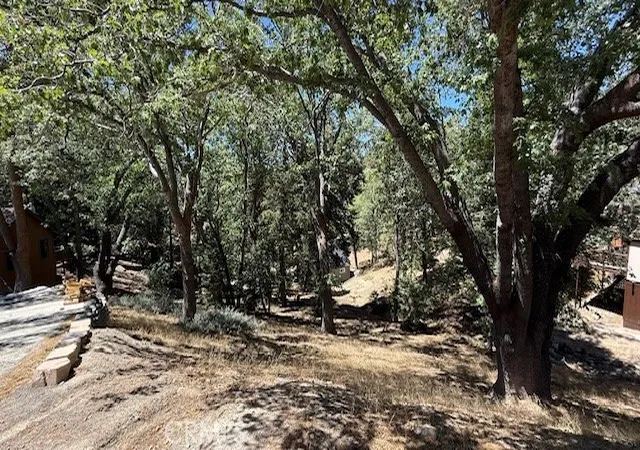 4th image of 736 Dahlia Dr, Green Valley Lake, CA 92341 | MLS# IV25185644