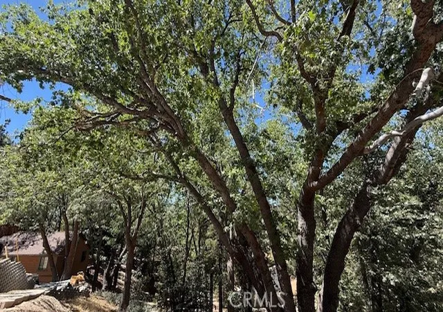 5th image of 736 Dahlia Dr, Green Valley Lake, CA 92341 | MLS# IV25185644