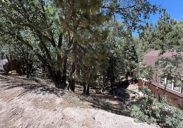 9th image of 736 Dahlia Dr, Green Valley Lake, CA 92341 | MLS# IV25185644