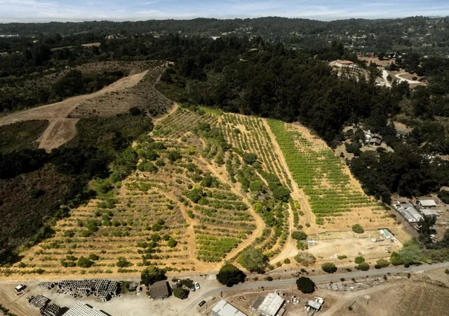 2nd image of 0 Sans Rd, Watsonville, CA 95076 | MLS# ML82018436