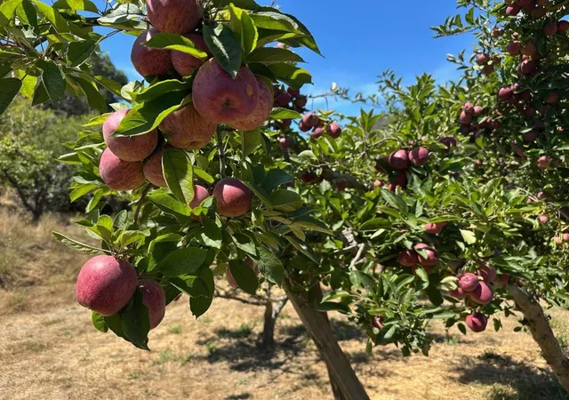 4th image of 0 Sans Rd, Watsonville, CA 95076 | MLS# ML82018436