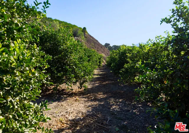 Photo 4 of Sale Pending at 915 E Telegraph Rd, Fillmore, CA 93015 | MLS# 25574507 | Listing updated on 2026-06-26