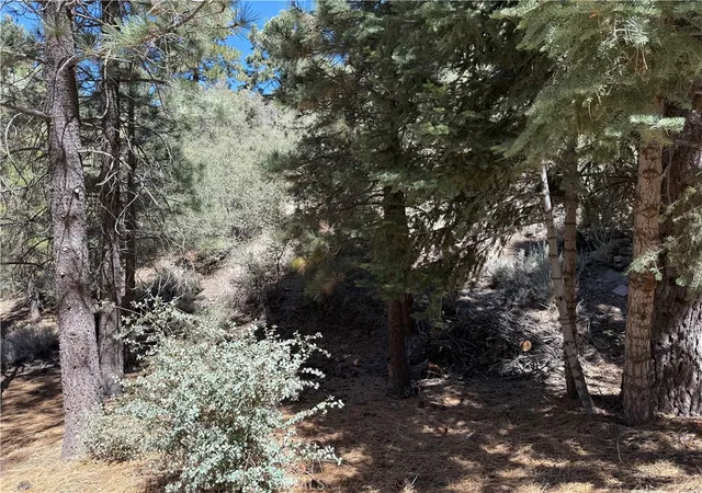 Photo 1 of Land for sale at 1420 Linden Dr, Pine Mountain Club, CA 93222 | MLS# SR25187857 | Listing updated on 2026-03-19