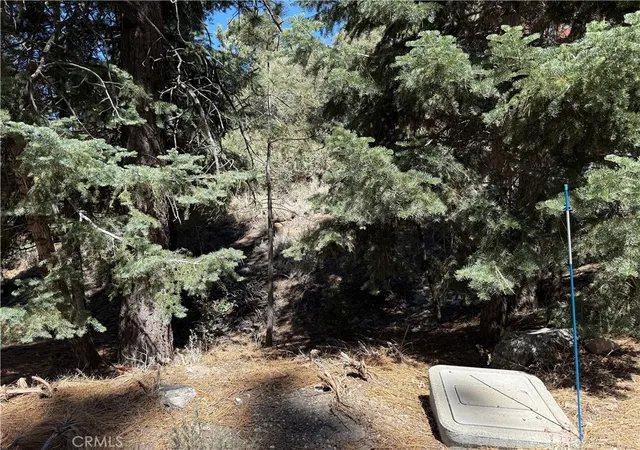 Photo 2 of Land for sale at 1420 Linden Dr, Pine Mountain Club, CA 93222 | MLS# SR25187857 | Listing updated on 2026-03-19