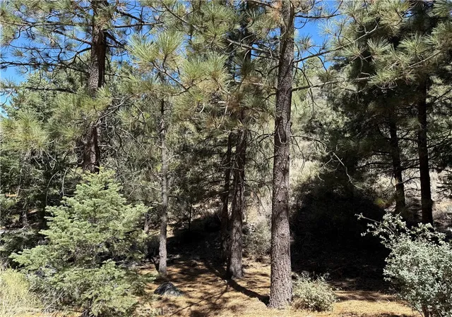 Photo 3 of Land for sale at 1420 Linden Dr, Pine Mountain Club, CA 93222 | MLS# SR25187857 | Listing updated on 2026-03-19