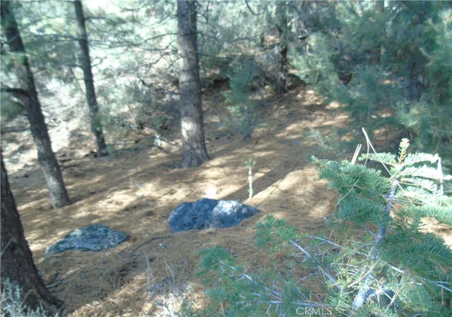 Photo 3 of Land for sale at 1420 Linden Dr, Pine Mountain Club, CA 93222 | MLS# SR25187857 | Listing updated on 2026-03-19
