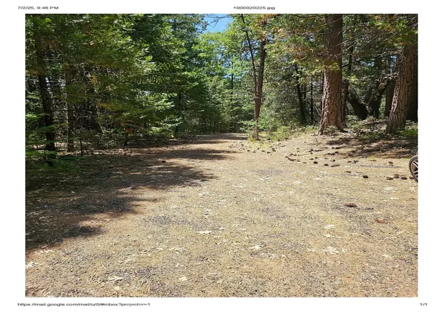 7th image of 15824 Valhalla Dr, Oak Run, CA 96069 | MLS# SN25187947