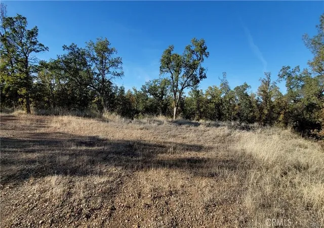 1st image of 17435 Quail Ridge Rd, Cottonwood, CA 96022 | MLS# SN25190553