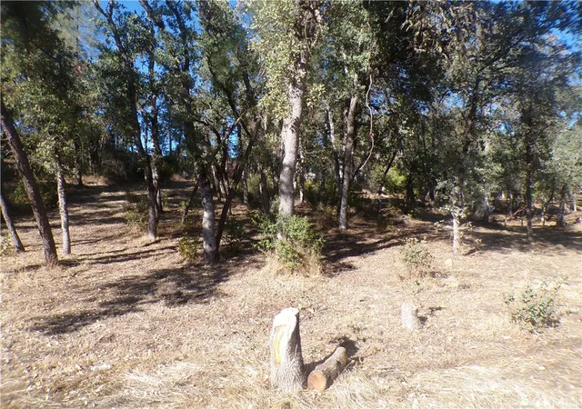 Homes for sale in Clearlake, CA | 15608 36th Ave, Clearlake, CA 95422 | MLS# LC25190969