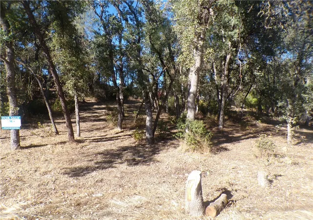 Homes for sale in Clearlake, CA | 15608 36th Ave, Clearlake, CA 95422 | MLS# LC25190969