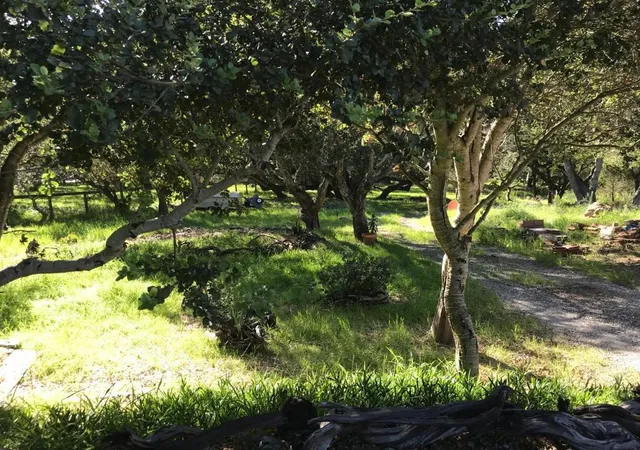 1st image of 6967 Valle Pacifico Rd, Salinas, CA 93907 | MLS# ML82019246