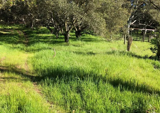 3rd image of 6967 Valle Pacifico Rd, Salinas, CA 93907 | MLS# ML82019246