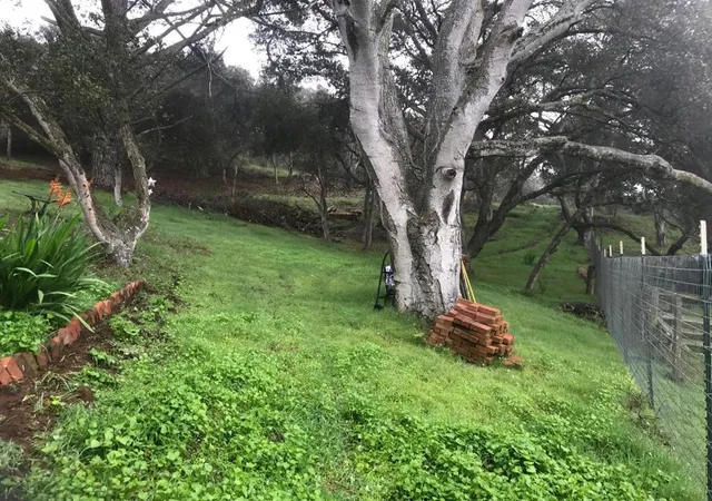 4th image of 6967 Valle Pacifico Rd, Salinas, CA 93907 | MLS# ML82019246