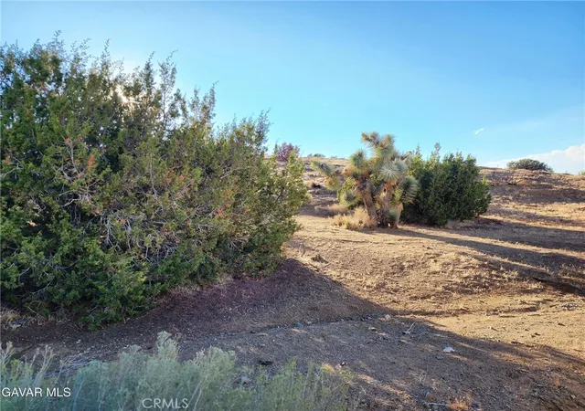 2nd image of 75 W Avenue D 12, Antelope Acres, CA 93536 | MLS# SR25192258