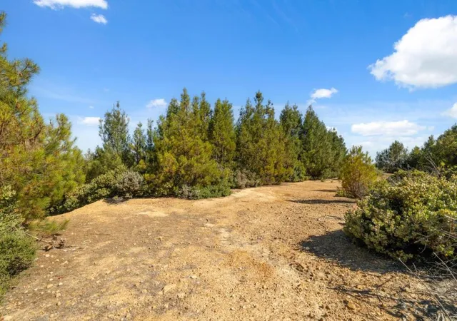 Homes for sale in Los Gatos, CA | Summit Rd, Los Gatos, CA 95033 | MLS# ML82019303