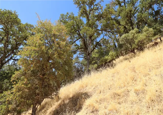 Photo 3 of Land for sale at 620 Park Way, Lakeport, CA 95453 | MLS# LC25191158 | Listing updated on 2026-09-23