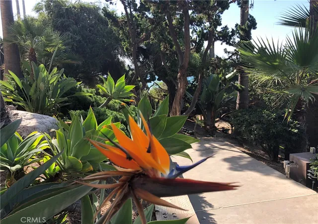 Homes for sale in Laguna Beach, CA | 31423 Coast Highway, Laguna Beach, CA 92651 | Houzeo