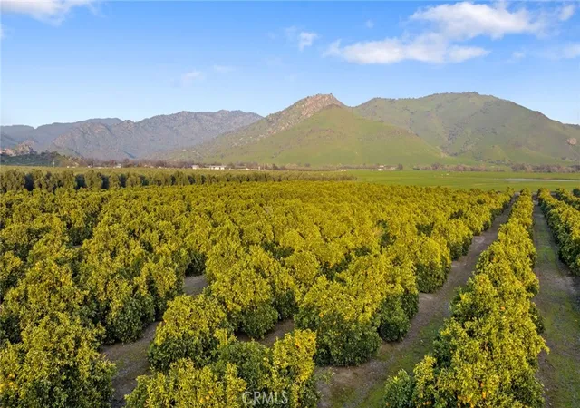 51st image of 19400 398, Woodlake, CA 93286 | MLS# NS25197887