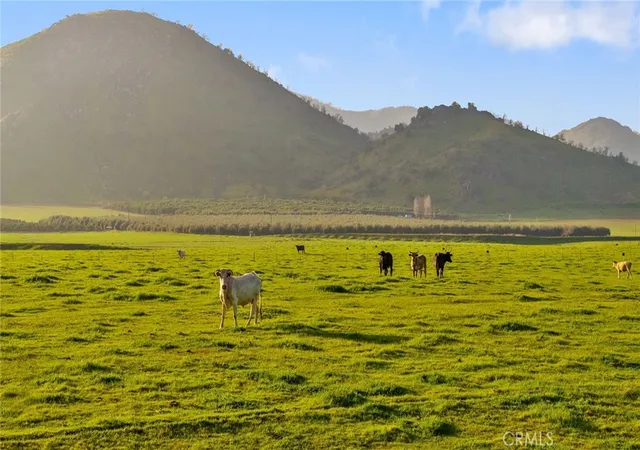 5th image of 19400 398, Woodlake, CA 93286 | MLS# NS25197887