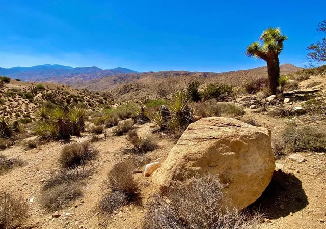 2nd image of 120 Benmar Trl, Morongo Valley, CA 92256 | MLS# 219134822PS