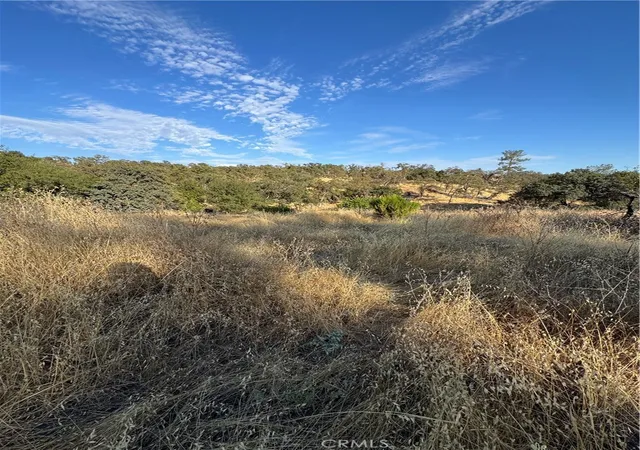 3rd image of 3258 Dry Creek Rd, Oroville, CA 95965 | MLS# OR25199066
