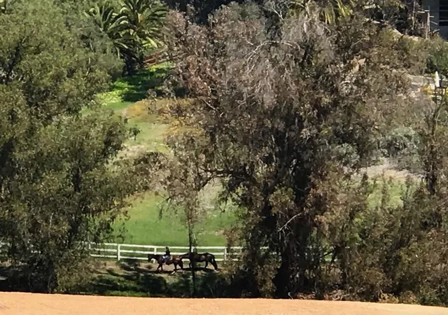 5th image of 5470 La Crescenta, Rancho Santa Fe, CA 92067 | MLS# NDP2508678