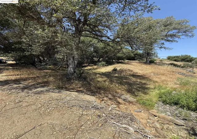 3rd image of 5306 Greeley Hill Road, Coulterville, CA 95311 | MLS# 41110758