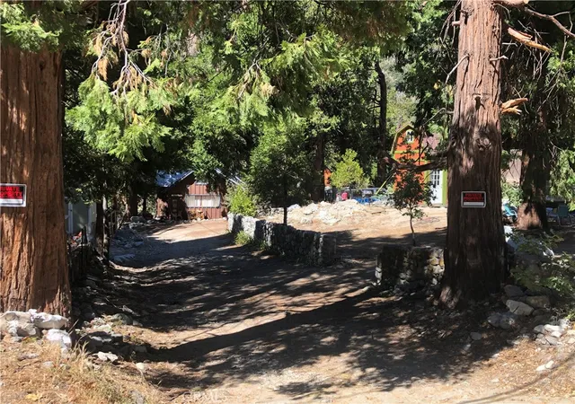 11th image of 41424 Valley Of The Falls Dr, Forest Falls, CA 92339 | MLS# SW25207957