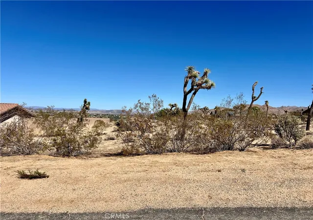2nd image of 0 Torres Ave, Joshua Tree, CA 92252 | MLS# OC25211044