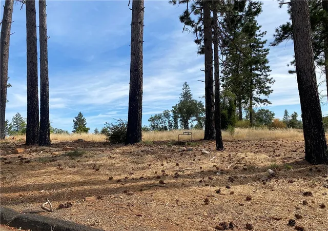 Photo 4 of Land for sale at 5374 Edgewood, Paradise, CA 95969 | MLS# SN25214412 | Listing updated on 2026-05-14