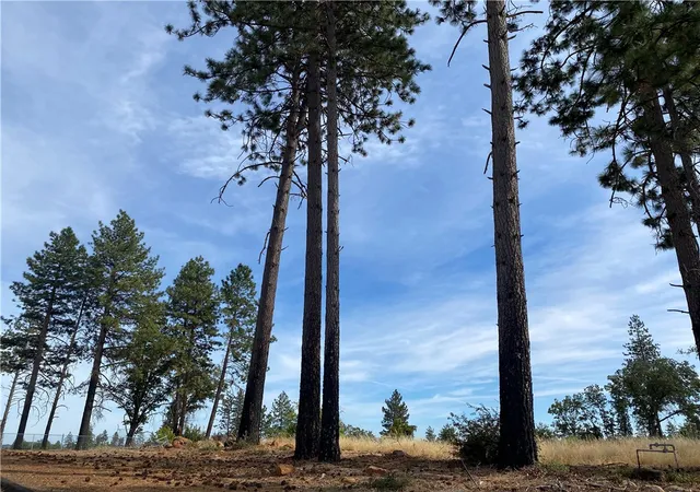 9th image of 5374 Edgewood, Paradise, CA 95969 | MLS# SN25214412
