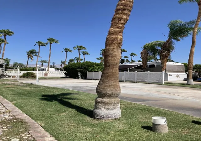 3rd image of 69411 Ramon Rd #65, Cathedral City, CA 92234 | MLS# 219135268DA