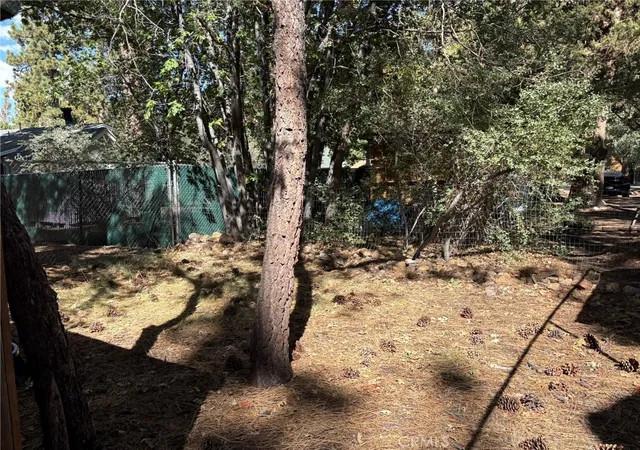 24th image of 343 Holmes Ln, Sugarloaf, CA 92386 | MLS# PW25209606