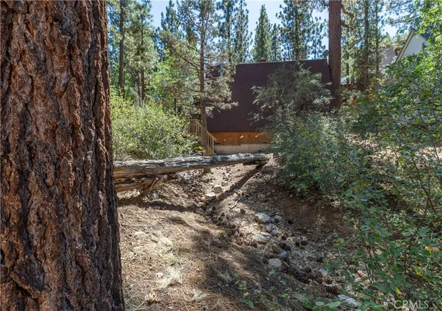 14th image of 0 Kern, Sugarloaf, CA 92386 | MLS# IG25218748