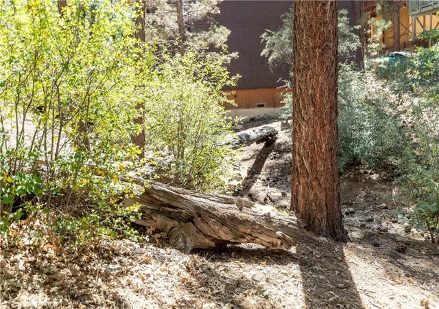 1st image of 0 Kern, Sugarloaf, CA 92386 | MLS# IG25218748