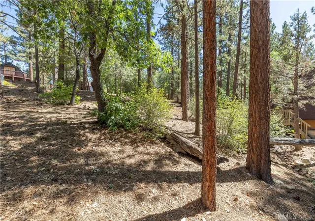 2nd image of 0 Kern, Sugarloaf, CA 92386 | MLS# IG25218748