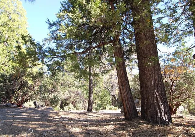 Photo 3 of Land for sale at 0 Gibbs Gully, Idyllwild, CA 92549 | MLS# 219135475DA | Listing updated on 2026-09-11