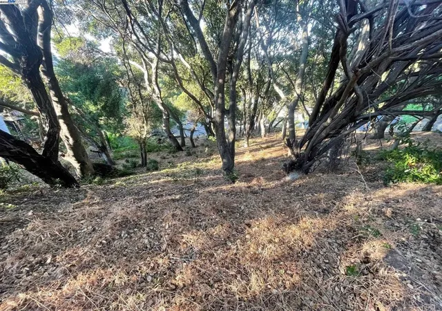 4th image of 25265 Morse Ct, Hayward, CA 94542 | MLS# 41112184
