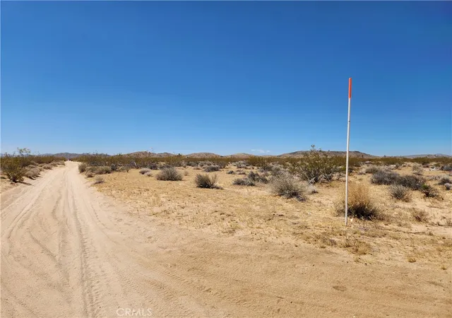 Photo 3 of Land for sale at 40 Ac Joshua Tree, Joshua Tree, CA 92252 | MLS# HD25223497 | Listing updated on 2026-05-22
