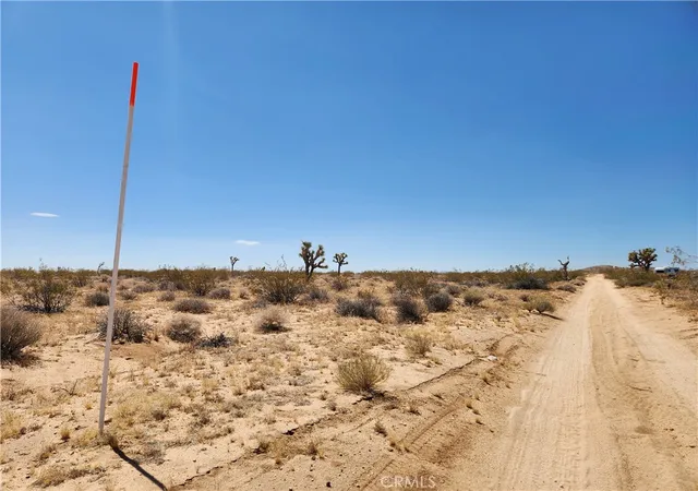 Photo 4 of Land for sale at 40 Ac Joshua Tree, Joshua Tree, CA 92252 | MLS# HD25223497 | Listing updated on 2026-05-22