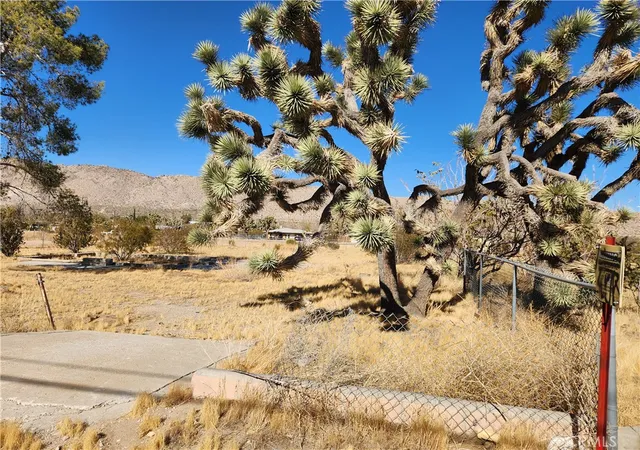2nd image of 56646 Antelope Trl, Yucca Valley, CA 92284 | MLS# HD25223548