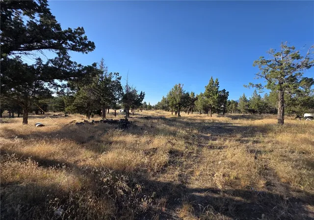 18th image of 5200 Blackberry Lane, Montague, CA 96064 | MLS# SN25175859