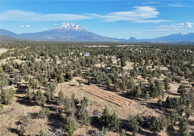 4th image of 5200 Blackberry Lane, Montague, CA 96064 | MLS# SN25175859