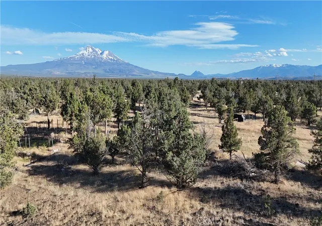 5th image of 5200 Blackberry Lane, Montague, CA 96064 | MLS# SN25175859