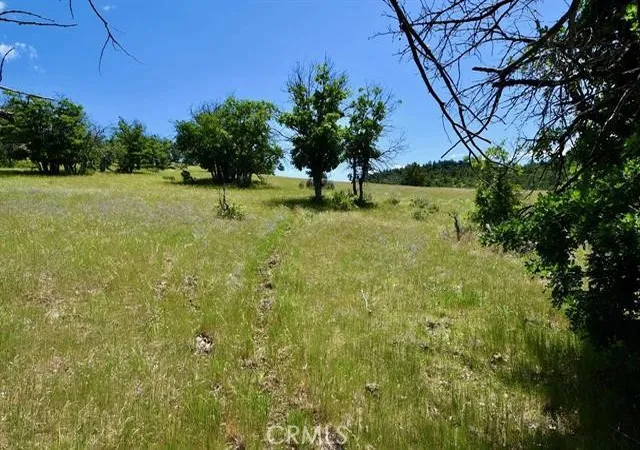 3rd image of 0 Xx Yellow Dog Trail, Hornbrook, CA 96044 | MLS# SN25217843