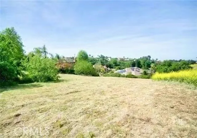 2nd image of 1043 Via Romales, San Dimas, CA 91773 | MLS# AR25224148