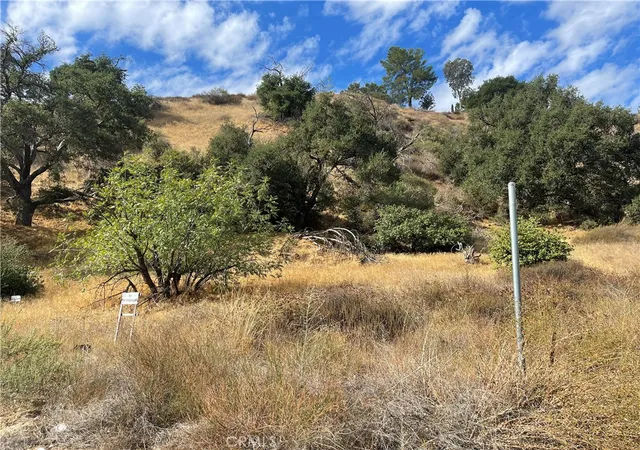 1st image of 0 Chiquita Canyon Rd, Castaic, CA 91384 | MLS# SR25225757