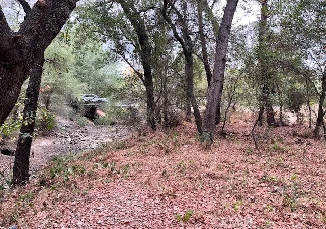 22nd image of 0 Lower Wyandotte Rd, Oroville, CA 95966 | MLS# OR25229581