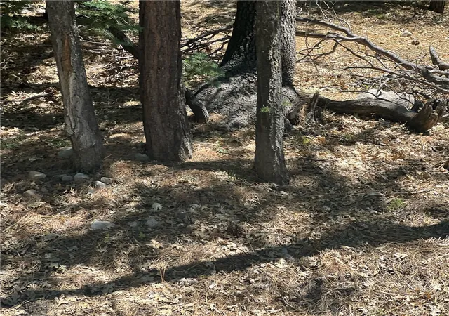 1st image of 16 Tank, Running Springs, CA 92382 | MLS# OC25230402
